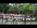 Flip and Rollie Play the Zoo