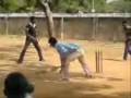 amazing cricket match