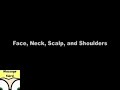 [Image:Youtube Video]