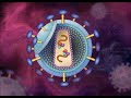 HIV / AIDS Replication Animation Video