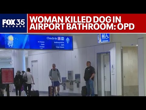 Florida Woman Allegedly Drowned Dog in Airport Bathroom After Pet ...