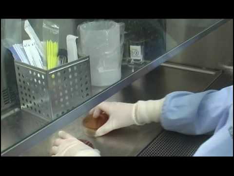 Microbiology Open House