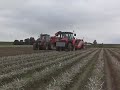 Seedpotato harvest 2008
