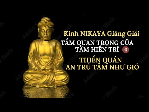 Kinh NIKAYA Giảng Giải - Tầm Quan Trọng Của Tâm Hiền Trí 6 - Thiền Quán -  An Trú Tâm Như Gió