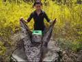 Eco-friendly Bag Alternative by greenUPGRADER.com