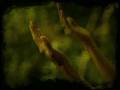 praising hands raised - Worship Motion Background