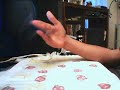 PEN SPINNING FTW crappy cam problem