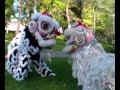 A Lion Story - Gio Nam Mua Lan Production
