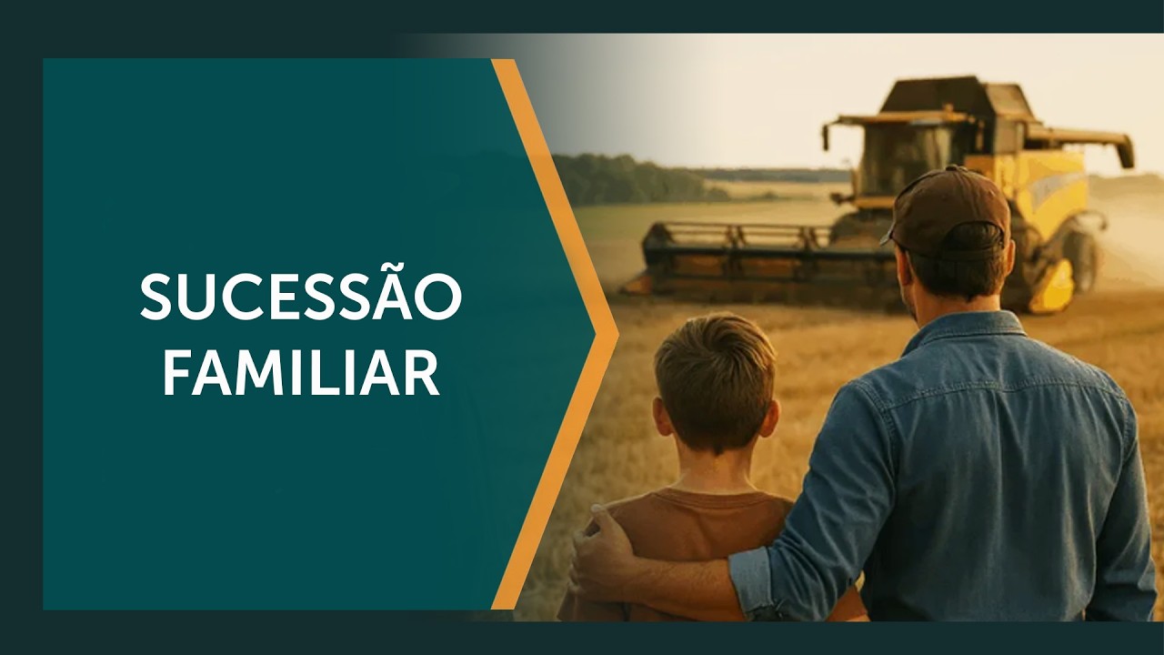 Importância da Holding Rural para estruturar os negócios
