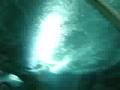 underwater-world-sen