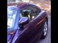 TVR Cerbera