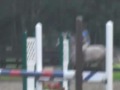 Cantering Coco bareback =)