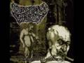 Digested Flesh - Bucket Of Afterbirth