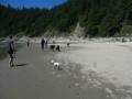 videos de Dogbook Movie: My dog at the beach