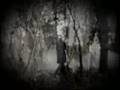 Dark Lunacy - Through the non time