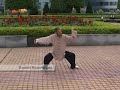 Internal Arts of Master Wang Bo - 汪波老师之内家拳术