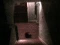 Ghost Cam