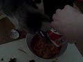 House and Wilson vs Dad and Spagettios