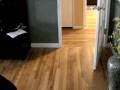 Dog barking at mail man