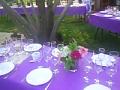 LA BAMBINA CATERING video de PAELLAS GIGANTES LA BAMBINA, Catering de Madrid