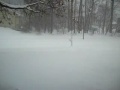 The first BIG snow storm of the year, and the second snow fall.