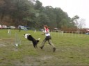 Moonyho první agility závody - Kyje 28. 10. 2008 Moonyho první agility závody - Kyje 28. 10. 2008
