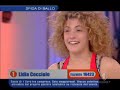 amici 2   lidia cocciolo: chihuahua