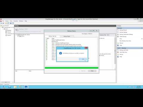 how to use snapmanager for sql