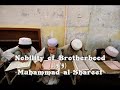 Nobility of Brotherhood (5/5) Nobility of Brotherhood (5/5)