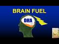 Omega 3 Song (EPA / DHA) -- FF Clip: Mary Toscano Healthy Living