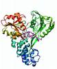 Conformational dynamics of hepatitis C virus NS3 helicase