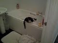 toffee loving bath