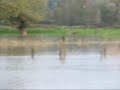 inondation roanne inondation roanne
