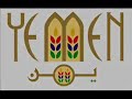 Sana'a Home to All Art-E (1) صنعاء حوت كل فن