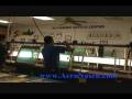 ANA-video2.wmv