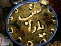 Yalda Night