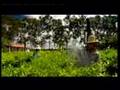 Nutriway training - How supplement work in our body (1/2)