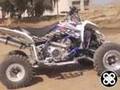 Trinity Suzuki LTR-450