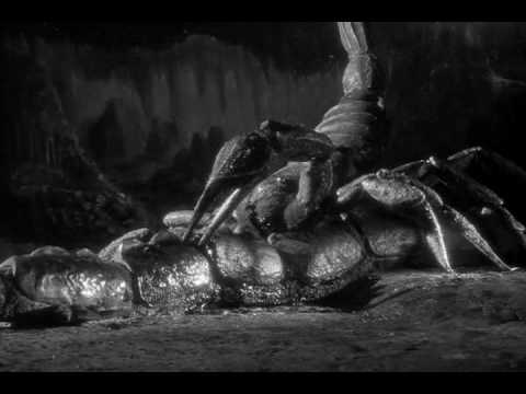 Collection - The Black Scorpion (1957)