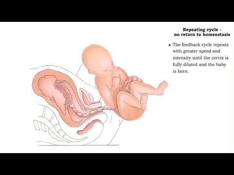 how to control oxytocin