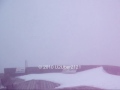 Signal Hill Winter Grey Foggy Day