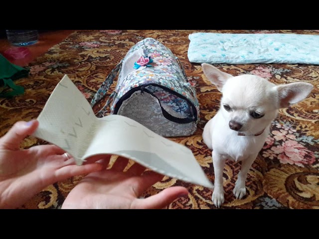 DIY:как сшить летнюю сумку - переноску для собаки или кошки своими руками?))🐶