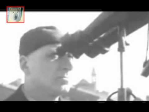 Immagine anteprima YouTube