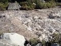 Rio de degelo nas Cordilheiras Rio de degelo nas Cordilheiras