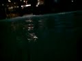C702 under water / C702 unter Wasser (1/5)