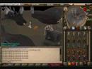 Assassin0345 downed
