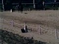 Deja Vu 1983 North American Young Riders