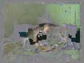 punjabi sexy college girl erotic sex in bathroom with servant, enjoying hardcore desi type sex.wmv
