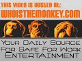 Thumbnail #3