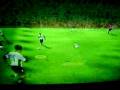 Ibrahimovic Amazing Goal